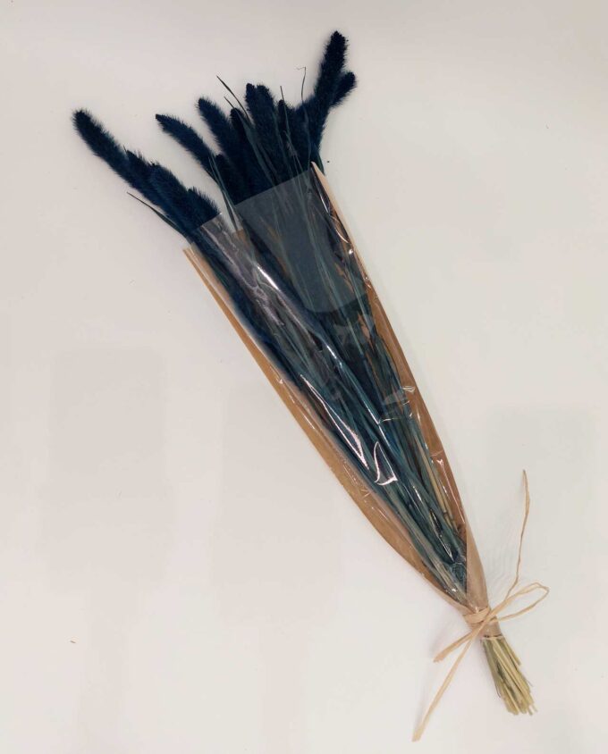 Dried Dark Blue Setaria Bunch