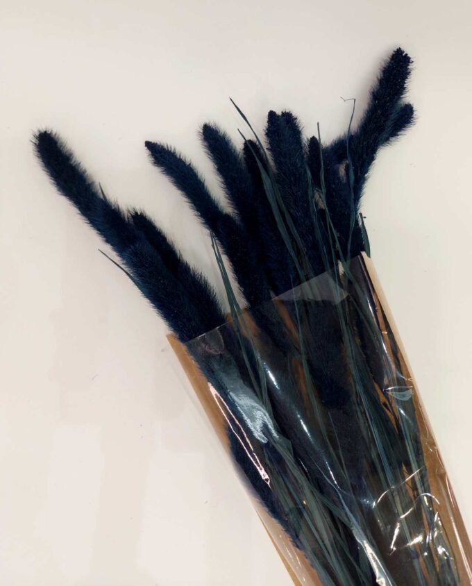 Dried Dark Blue Setaria Bunch
