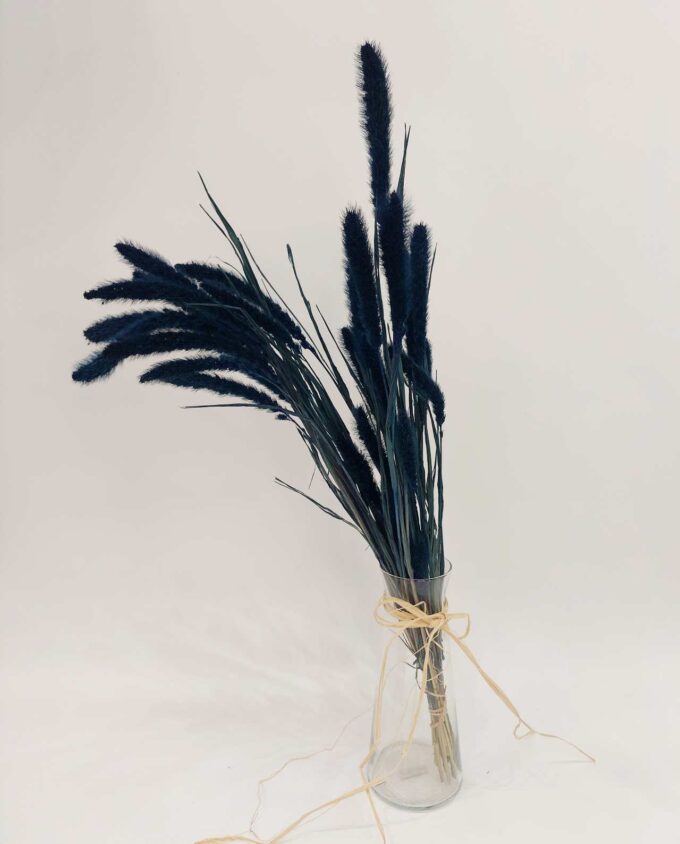 Dried Dark Blue Setaria Bunch