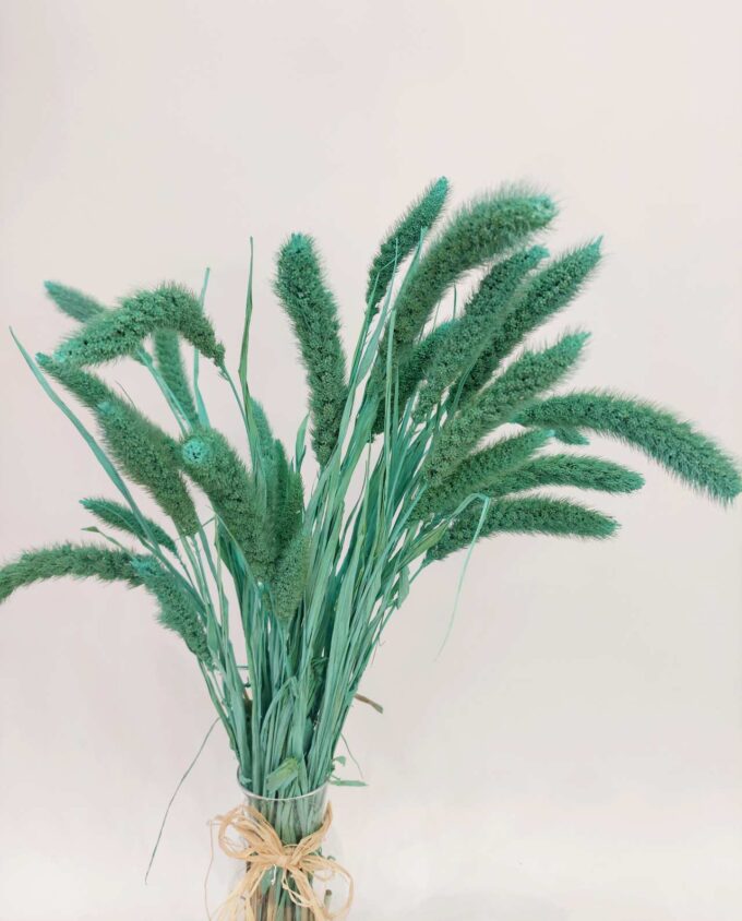 Dried Turquoise Setaria Bunch