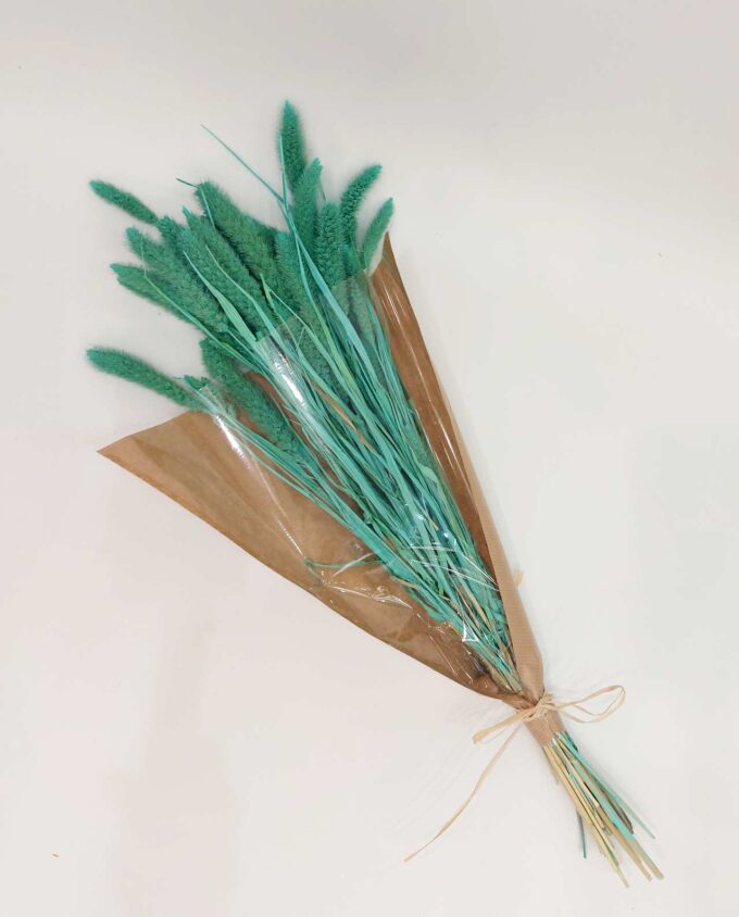 Dried Turquoise Setaria Bunch