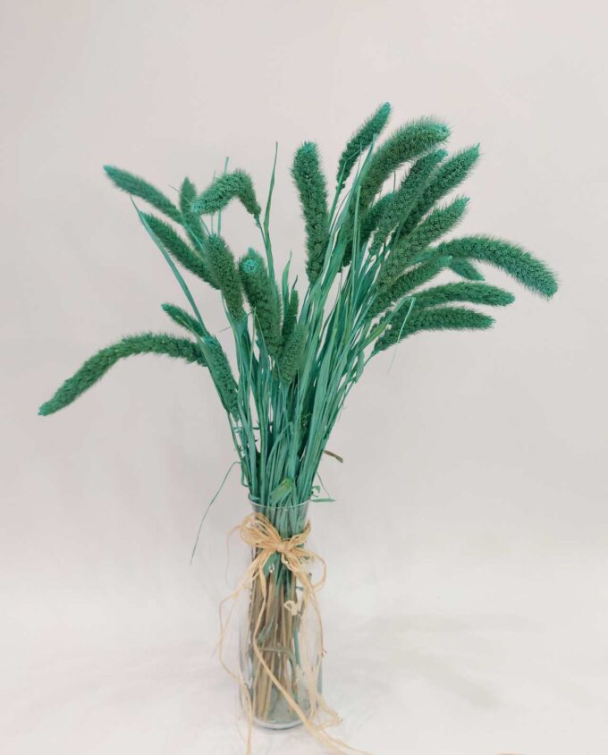 Dried Turquoise Setaria Bunch
