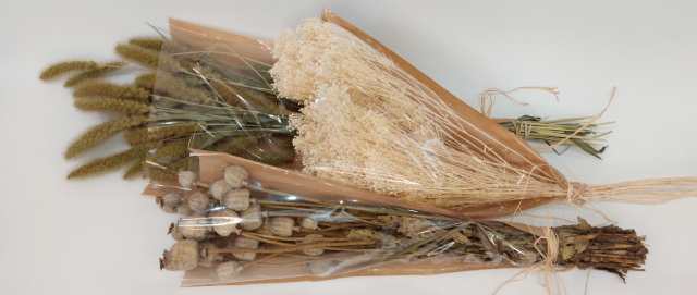 apojiramena-louloudia-M