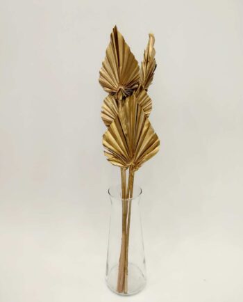 Dried Golden Palmspear Bunch 4 Pieces