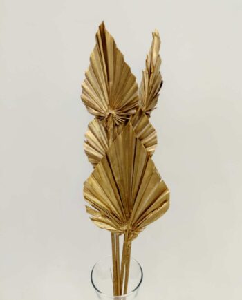 Dried Golden Palmspear Bunch 4 Pieces