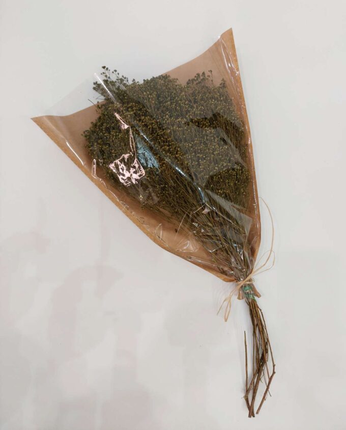 Dried Green Bloom Bloom Bunch