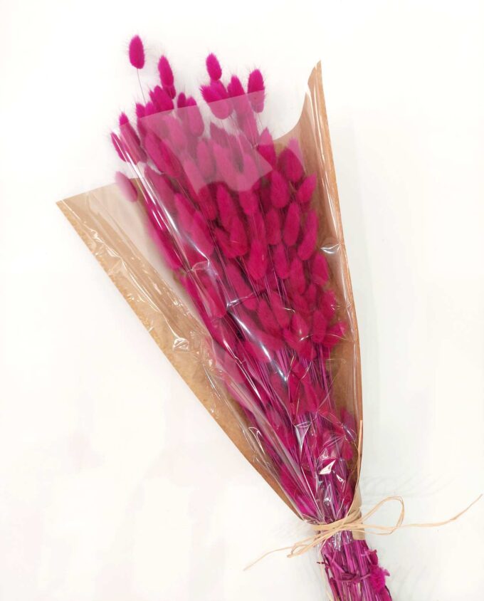 Dried Lagurus Fuschia Bunch