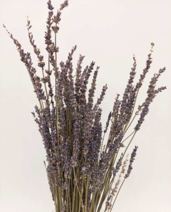 Dried Natural Lavender in a vase at a bedroom