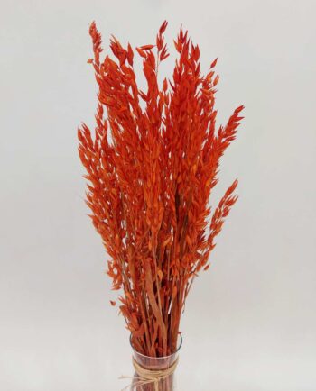 Dried Orange Oats Bunch