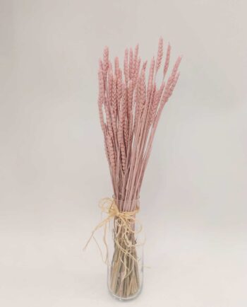 Dried Light Pink Wheat Bunch