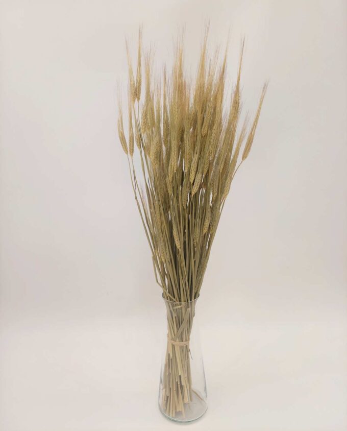 Dried Natural Long Wheat Bunch