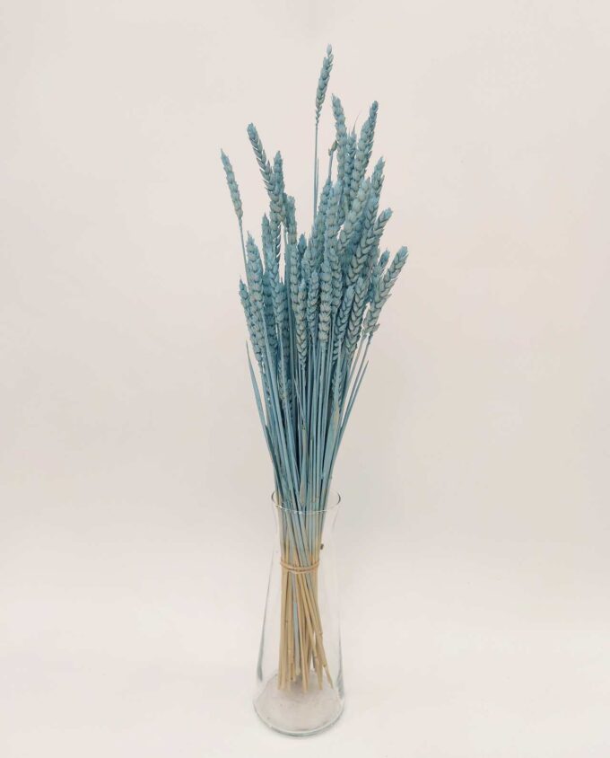 Dried Light Blue Wheat Bunch