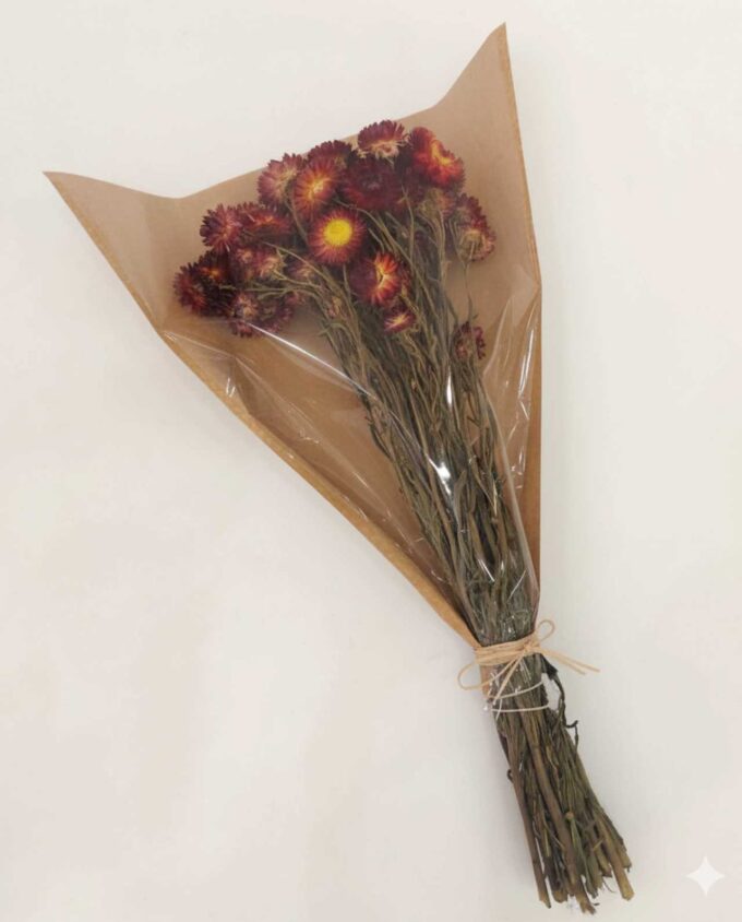Dried Chrysanthemums Orange Red