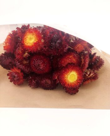 Dried Chrysanthemums Orange Red