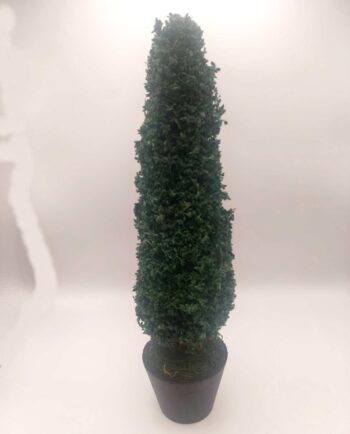 Arrangement Tree Dried Moss height 27 cm