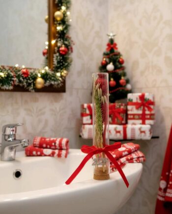 Glass Cylinder Dried Flowers Luvky Charm 2026