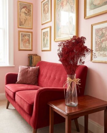 Dried Red Broom Bloom Bunch