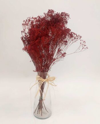 Dried Red Broom Bloom Bunch