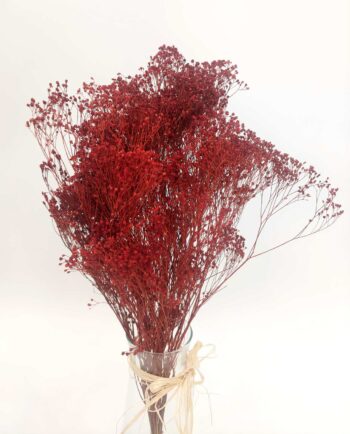 Dried Red Broom Bloom Bunch