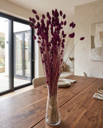 Dried Purple Phalaris Bunch