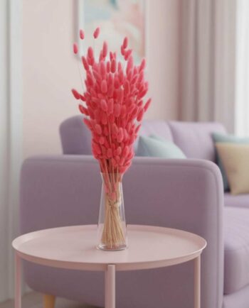 Dried Pink Lagurus Bunch