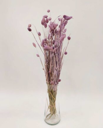 Dried Lilac Phalaris Bunch