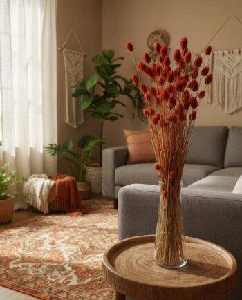 Dried Rusty Orange Phalaris Bunch