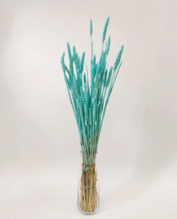 Dried Turquoise Wheat Bunch