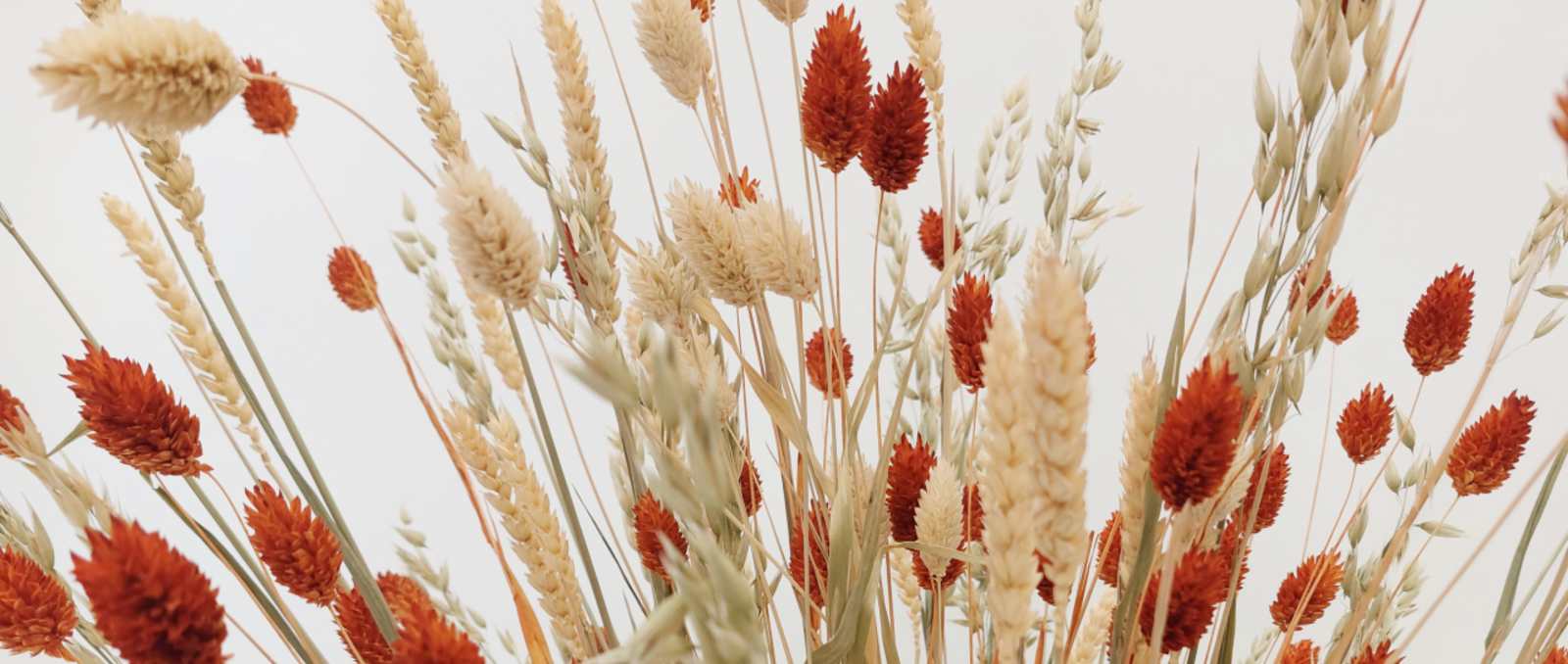 apojiramena-louloudia-D