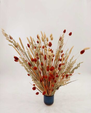 Dried Flowers Arrangement Orange Natural