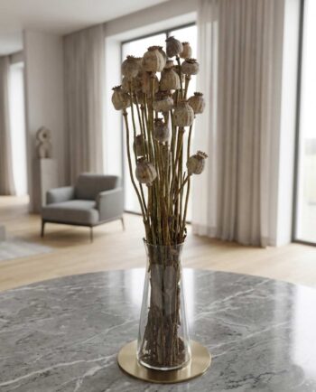 Dried Natural Grey Papaver Bunch