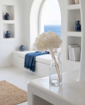 Dried White Hydrangea