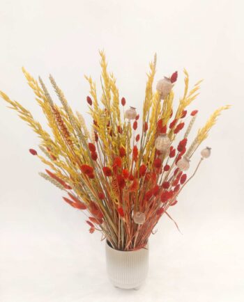 Dried Flowers Arrangement Orange Yellow