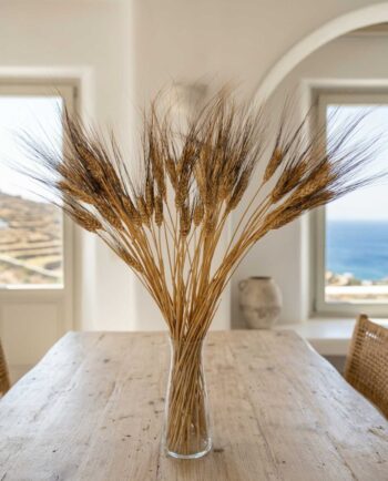Dried Natural Durum Wheat Bunch