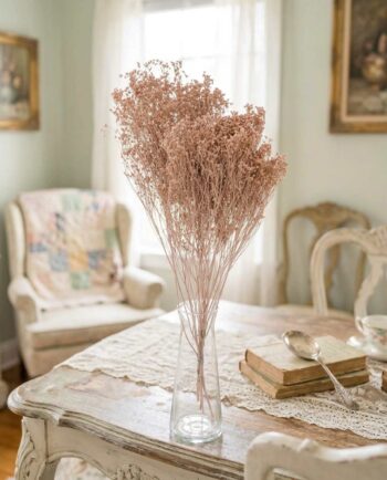 Dried Light Pink Broom Bloom Bunch